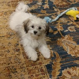 Meet your Posher, Dana